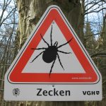 Zecken
