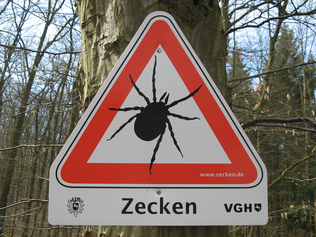 Zecken